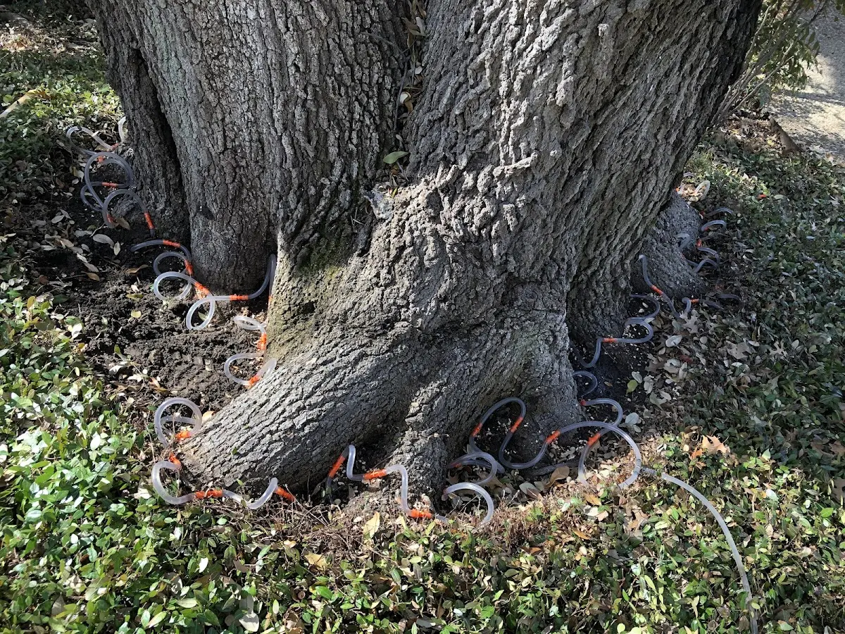 Detailed Shrub and Hedge Trimming job site in Pocola