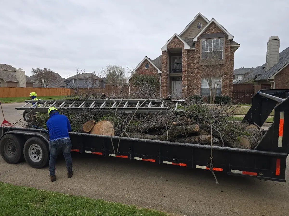Expert Lot Clearing with proper safety equipment in Pocola